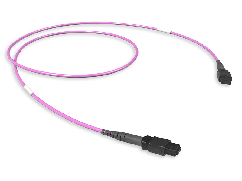 Оптическая соединительная сборка 8 x 50/125 OM4+, MTP(8)f/MTP(8)f